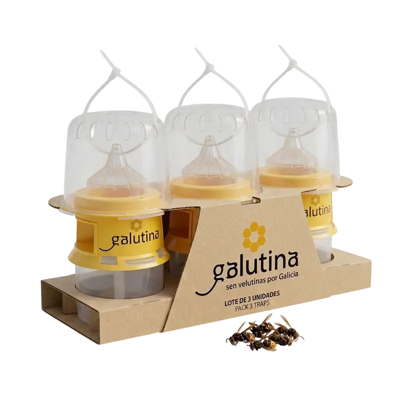 Lote de 3 Galutinas